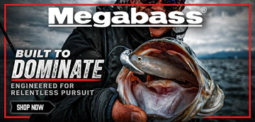 Premium Gear, Unbeatable Daily Prices