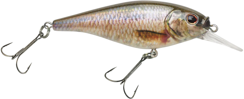 Berkley Flicker Shad Shallow Crankbait - Image 17