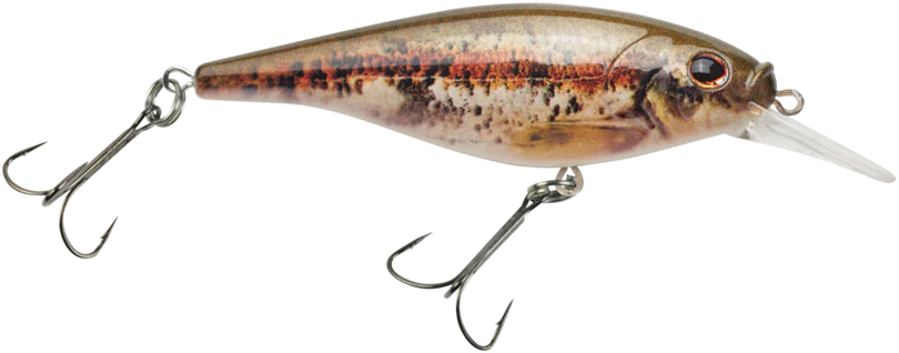 Berkley Flicker Shad Shallow Crankbait - Image 3