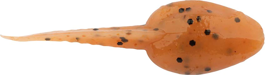 Berkley Gulp! Alive! Tadpole - 1.25 Inch - Image 4