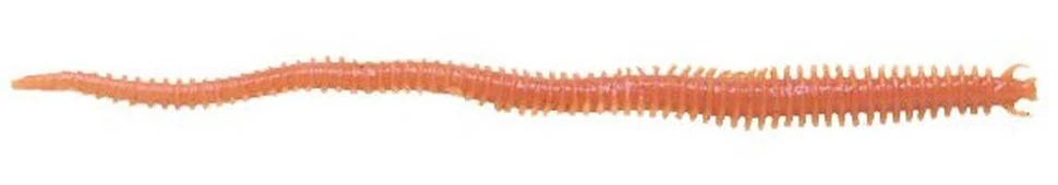 Berkley Gulp! 6 inch Scented Plastic Sandworm 10 pack - Image 3