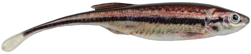 Berkley PowerBait Drip Minnow - 3 Inch - Image 6