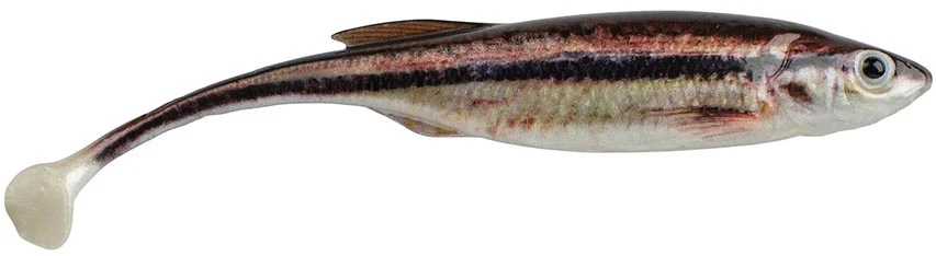 Berkley PowerBait Drip Swimmer - 3 Inch - Image 7