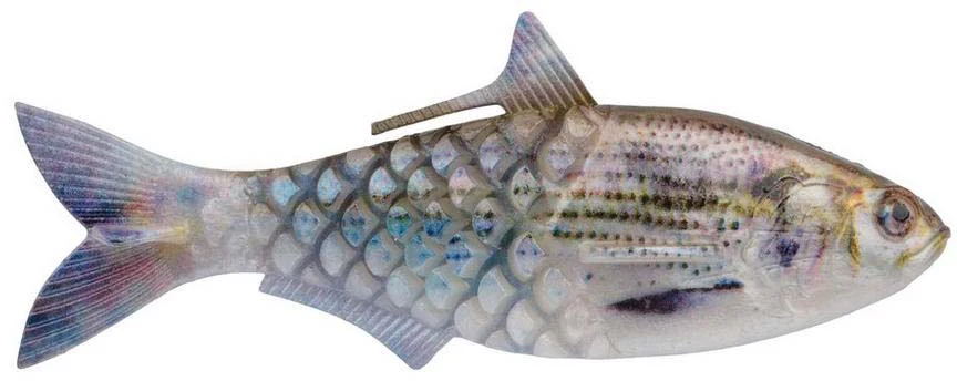 Berkley PowerBait Shad-E - Image 22