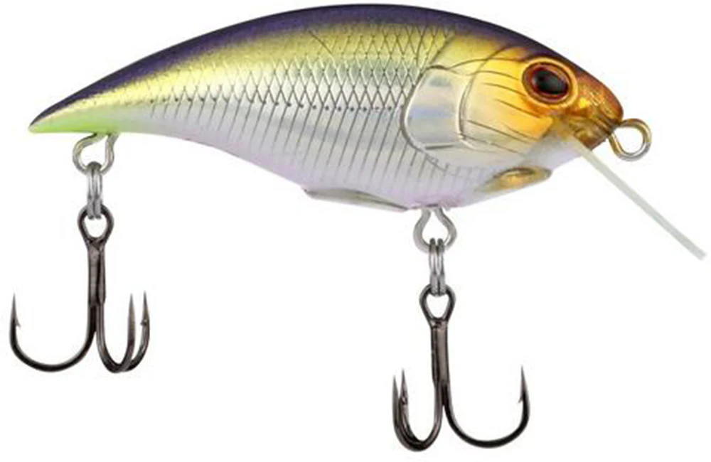 Berkley Shallow Money Badger Crankbait - 1.5 Inch - Image 16