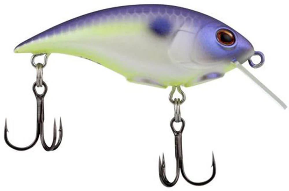 Berkley Shallow Money Badger Crankbait - 2.5 Inch - Image 18
