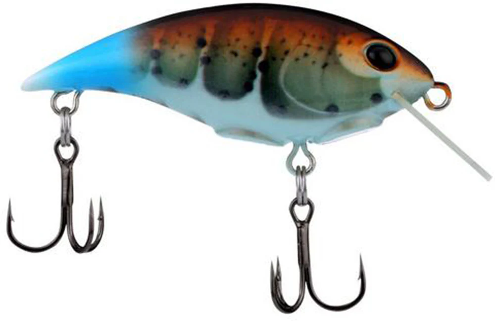 Berkley Shallow Money Badger Crankbait - 2.75 Inch - Image 13