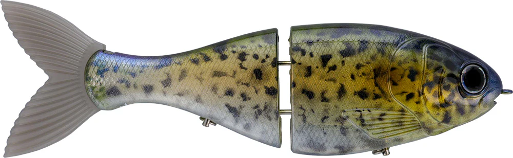 Bucca Trick Shad Glidebait - 8 Inch - Image 4