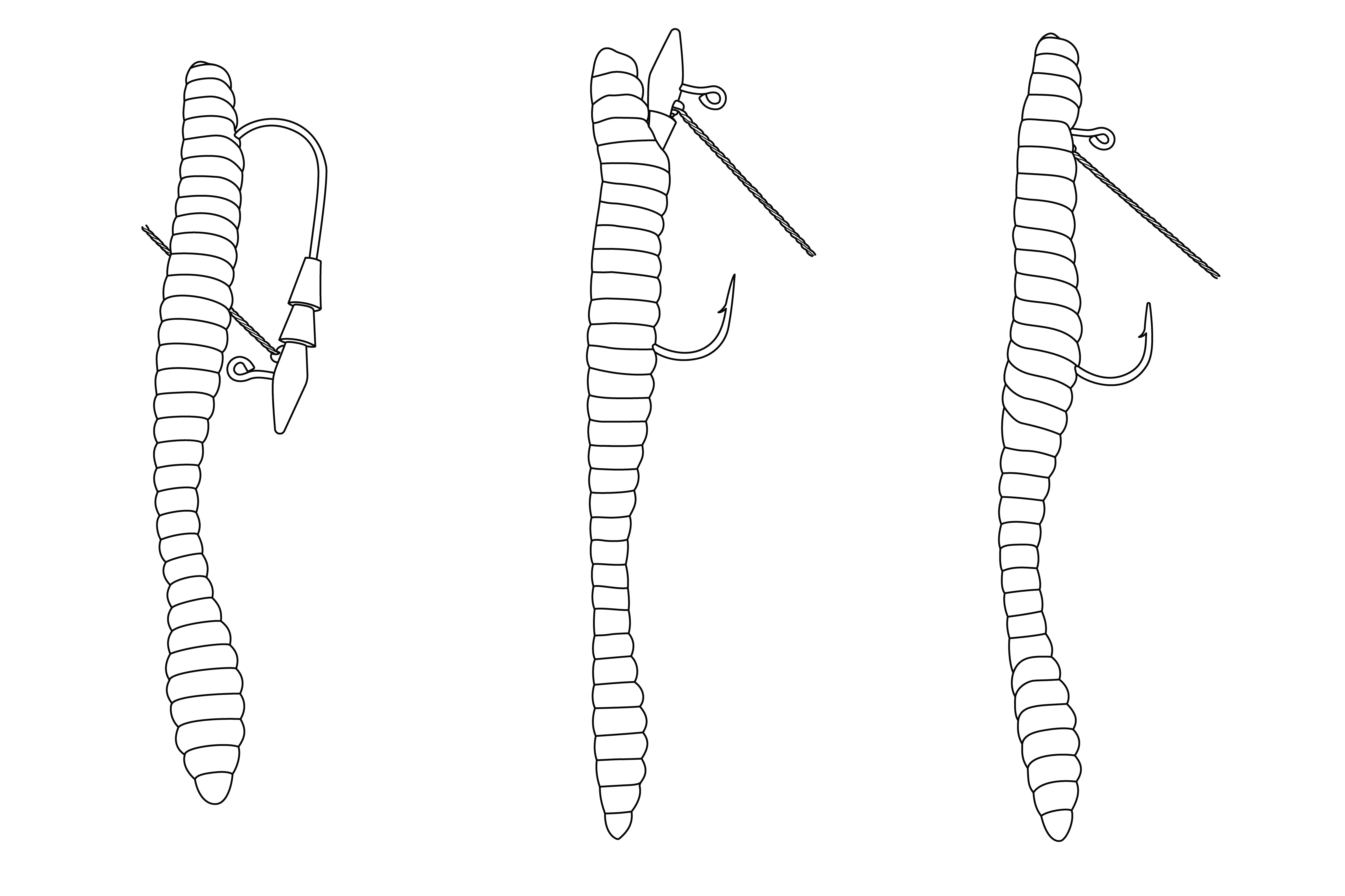 Core Tackle The Hover Rig Weedless - 3 pack - Image 4