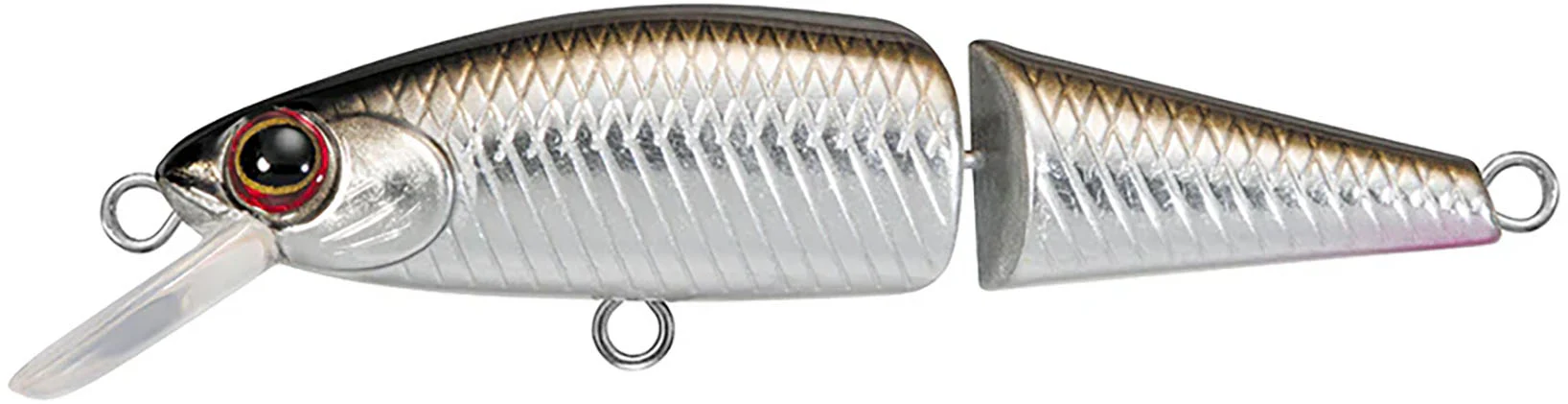 Daiwa DR Minnow Jointed Sinking Jerkbait - 2 Inches - Image 3