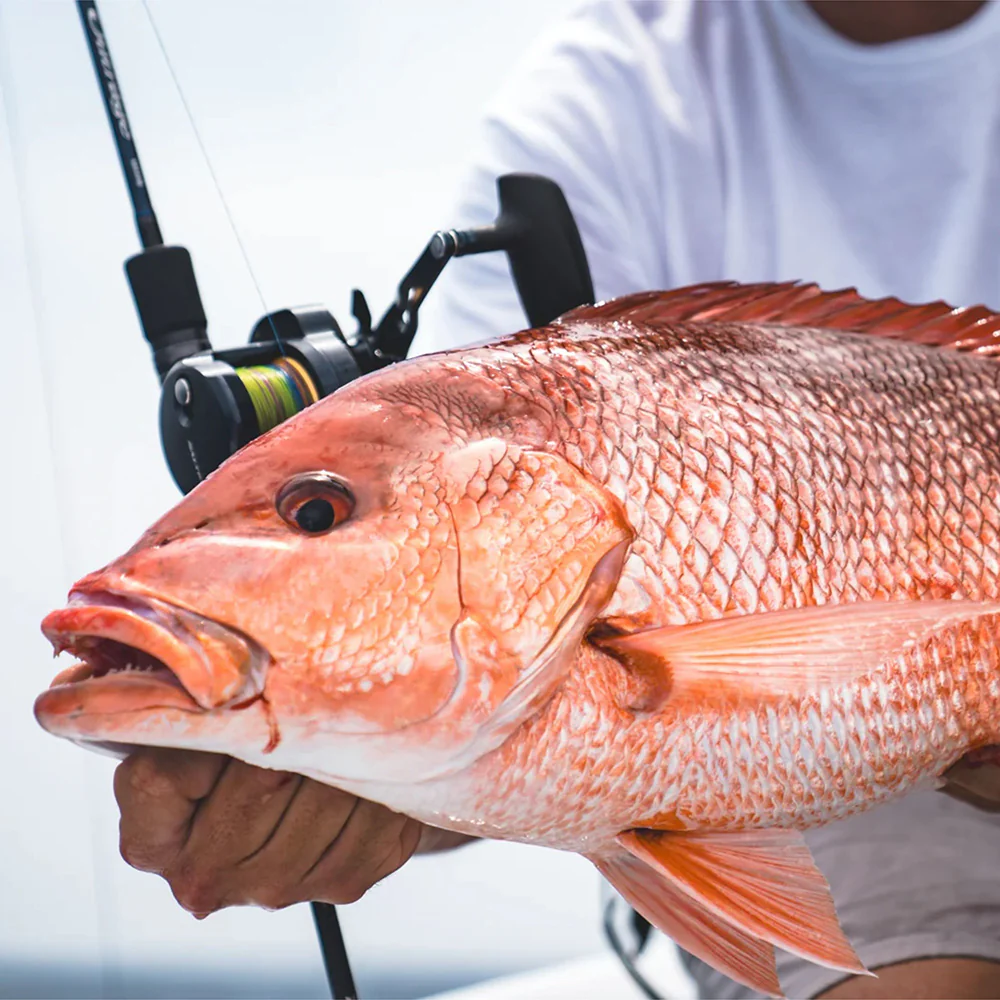 Daiwa Saltiga 15 Conventional Jigging Reel - Image 8