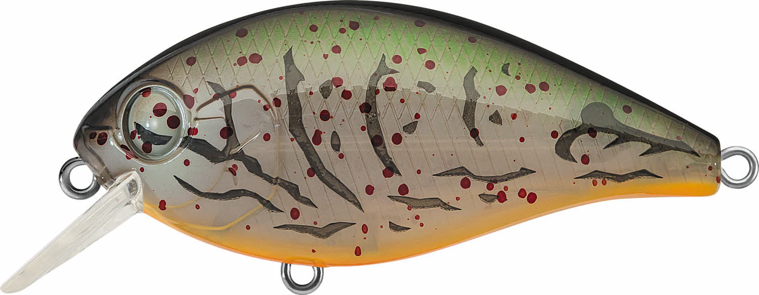 Evergreen International SH-3 Shallow Squarebill Crankbait - Image 3