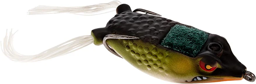 Frog Factory Boom Boom Frog - 2.5 Inch - Image 6