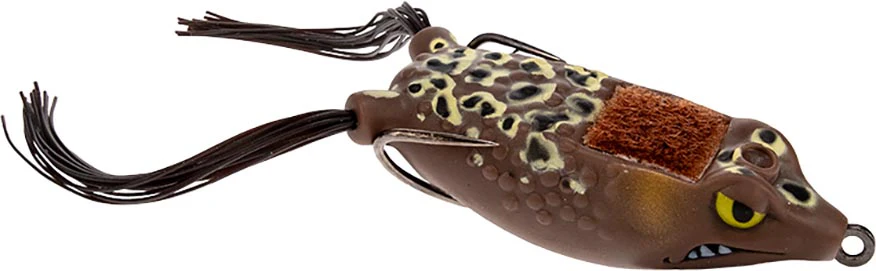 Frog Factory Boom Boom Frog - 2.5 Inch - Image 8