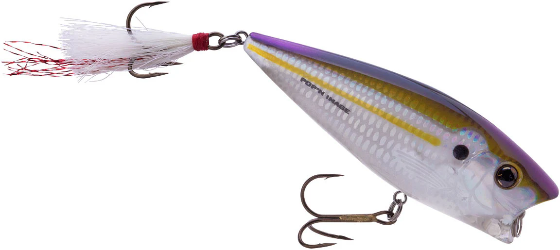 Heddon Pop'n Image 3 inch Topwater Popper - Image 3
