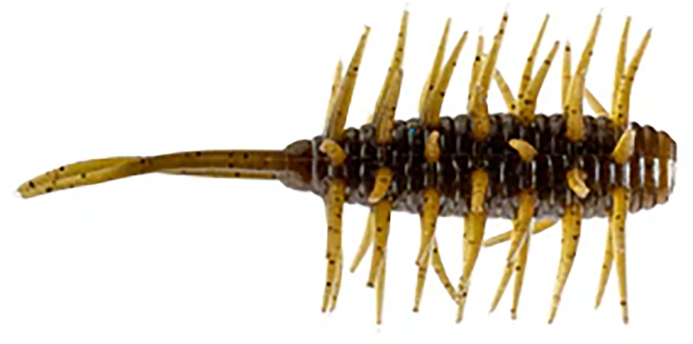 HIDEUP Coike Shrimp - 2.5 Inch - Image 4