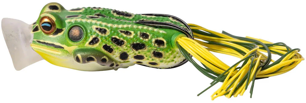 LiveTarget Hollow Body Series Popping Frog - 2 Inch - Image 5