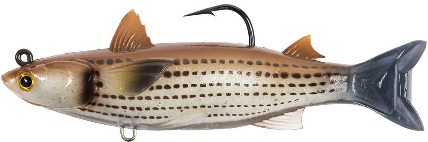 LiveTarget Mullet Bait - Rigged - Image 4