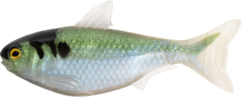 LIVETARGET Unrigged Shad - 4.5 Inch - Image 4