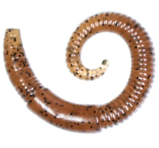 Lunkerhunt 2 inch River Worm Soft Plastic 8 pack - Image 4