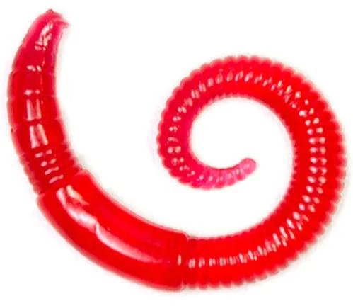 Lunkerhunt 2 inch River Worm Soft Plastic 8 pack - Image 5