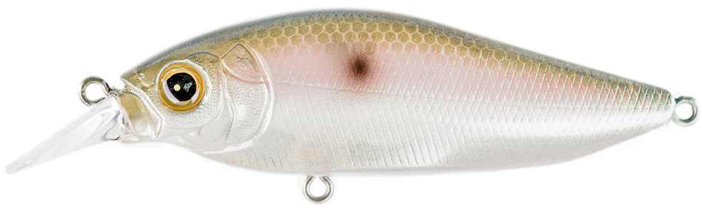Megabass Flap Slap - Image 9