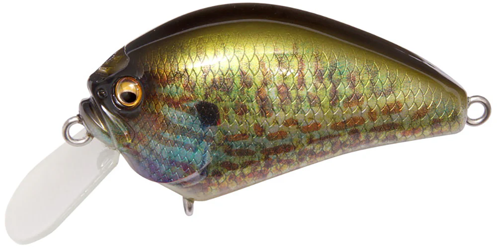 Megabass IXI Blowly Shallow Crankbait - 2 Inch - Image 14