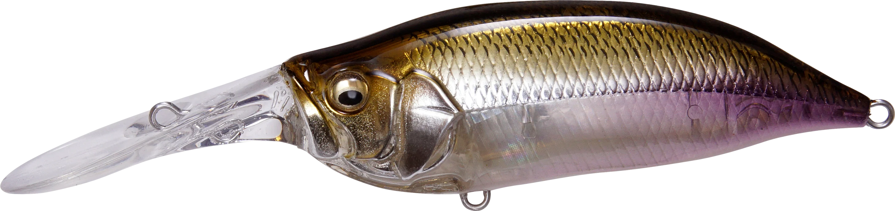 Megabass IXI Shad Type 3 Medium Diving Crankbait - Image 5