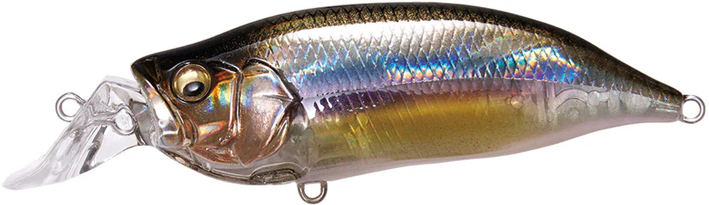 Megabass IXI Shad Type-R Shallow Diving Crankbait - 2.4 Inch - Image 6