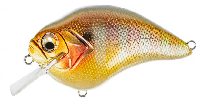 Megabass S Crank 1.5 Shallow Squarebill Crankbait - Image 7