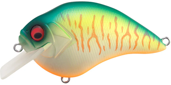 Megabass S Crank 1.5 Shallow Squarebill Crankbait - Image 8