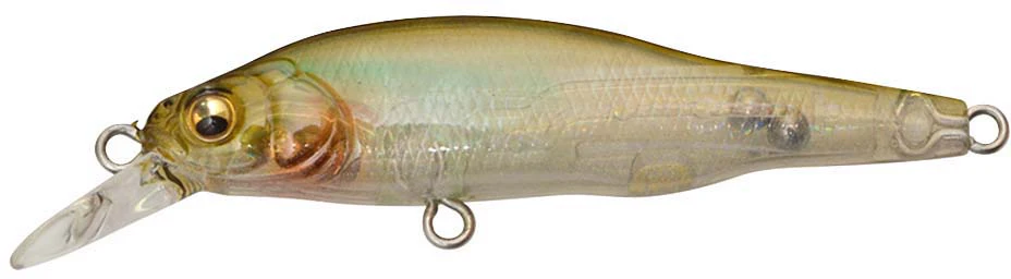 Megabass X-80 JR (BFS) - Image 11