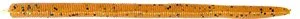 Nories 5.25 Inch Latterie Neko Rig Worm - 8 Pack - Image 4