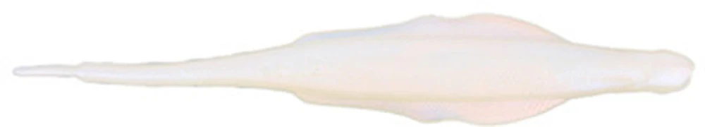 Nories 5.8 Inch Lady Balance Vibrating Jig Trailer - 6 Pack - Image 9