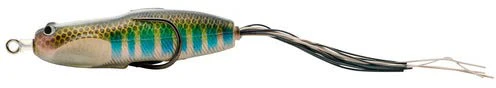 Nories Hoshokuon 76 Hollow Body Frog - Image 6