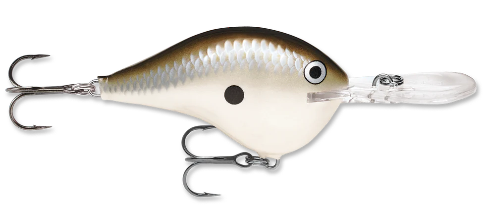 Rapala DT Series Crankbait DT10 - Image 38