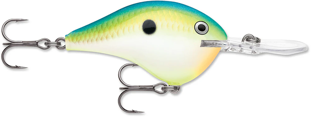 Rapala DT 12 Series Crankbait - 2.25 Inch - Image 11