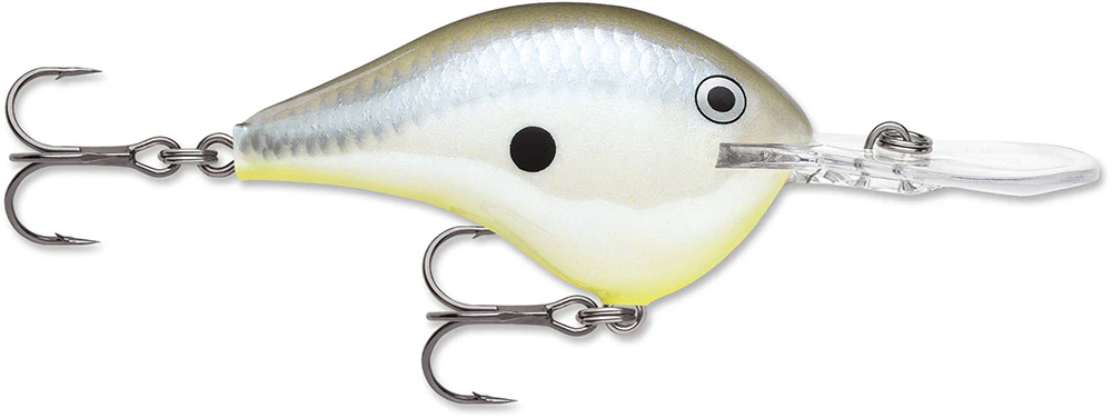 Rapala DT 12 Series Crankbait - 2.25 Inch - Image 16