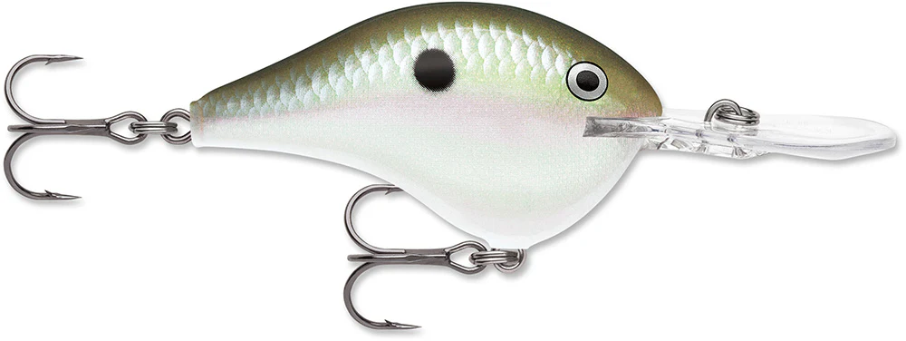 Rapala DT 12 Series Crankbait - 2.25 Inch - Image 18