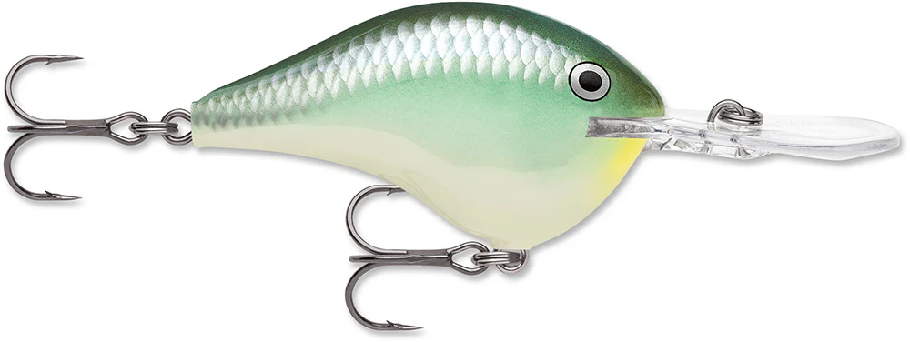 Rapala DT 12 Series Crankbait - 2.25 Inch - Image 2