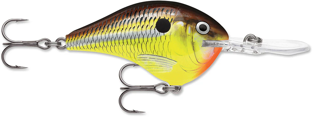 Rapala DT 12 Series Crankbait - 2.25 Inch - Image 20