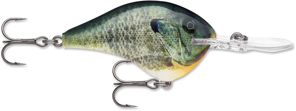 Rapala DT 12 Series Crankbait - 2.25 Inch - Image 22