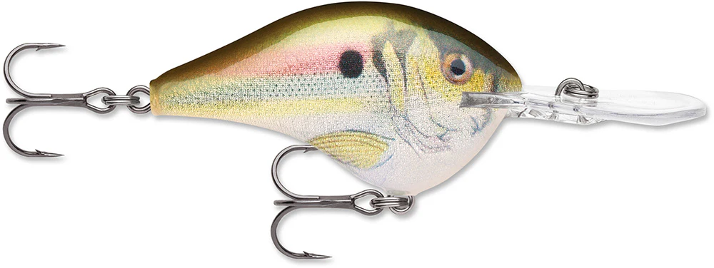 Rapala DT 12 Series Crankbait - 2.25 Inch - Image 25