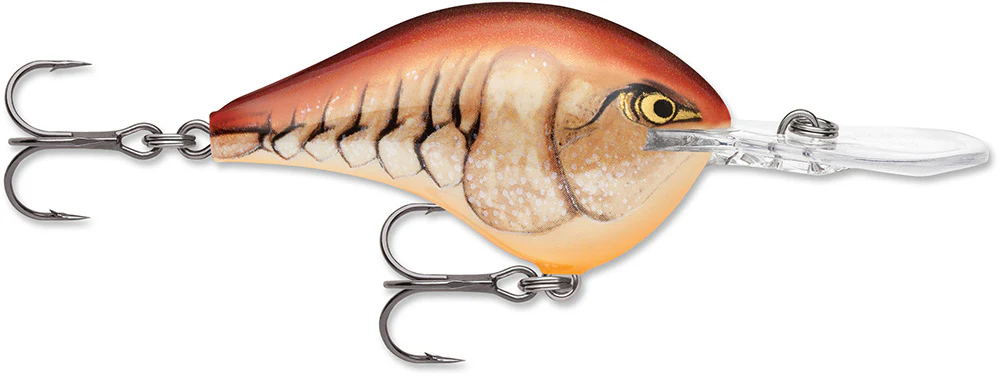 Rapala DT 12 Series Crankbait - 2.25 Inch - Image 26