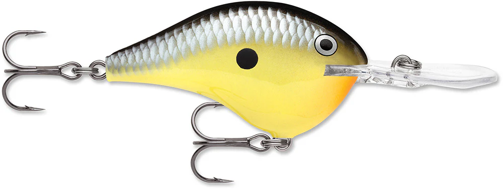 Rapala DT 12 Series Crankbait - 2.25 Inch - Image 27