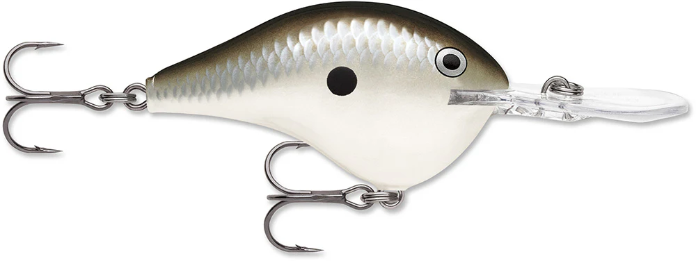 Rapala DT 12 Series Crankbait - 2.25 Inch - Image 29