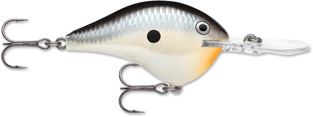 Rapala DT 12 Series Crankbait - 2.25 Inch - Image 30