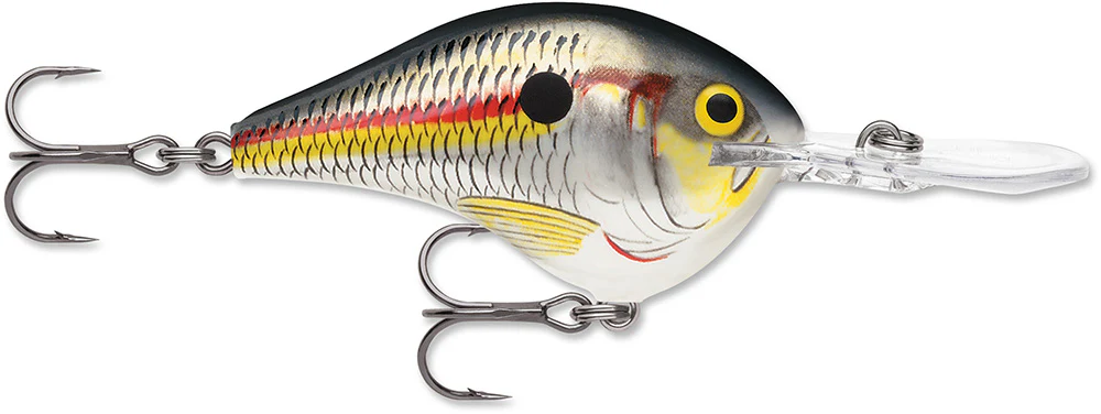 Rapala DT 12 Series Crankbait - 2.25 Inch - Image 33