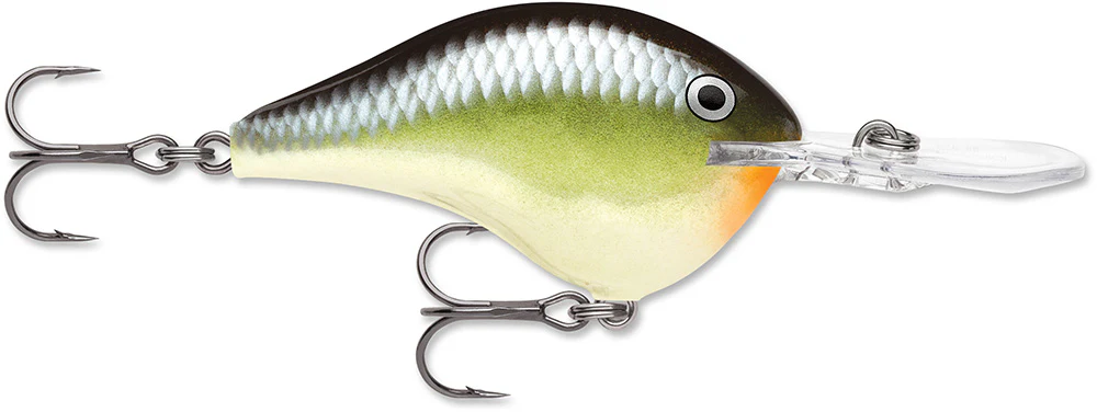 Rapala DT 12 Series Crankbait - 2.25 Inch - Image 35