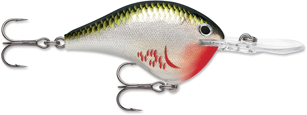 Rapala DT 12 Series Crankbait - 2.25 Inch - Image 4
